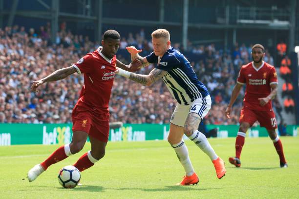 观赏充满期 观赏充满期