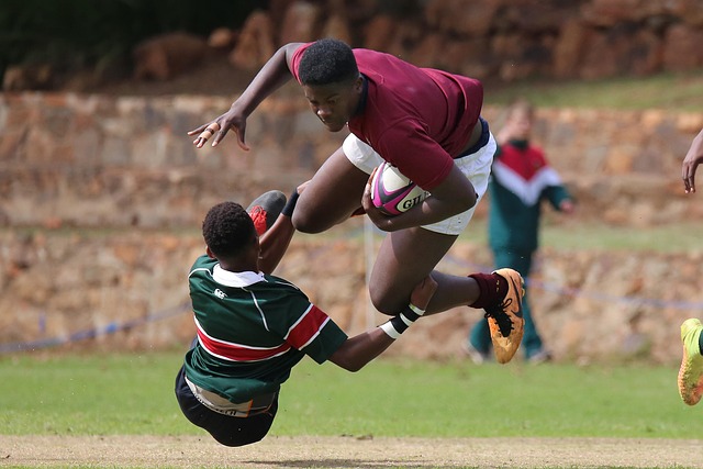 利尔队带来 利尔队带来